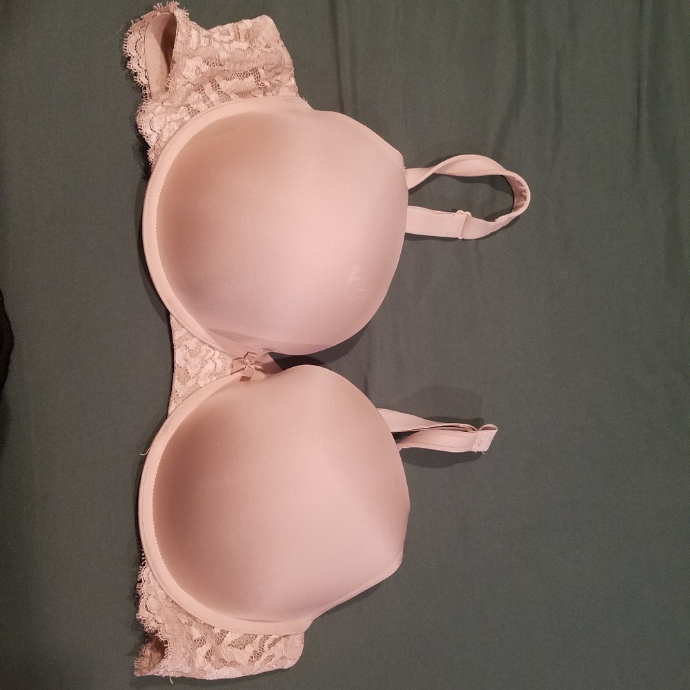 Torrid Bra